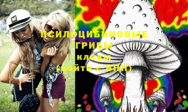 амф Белокуриха